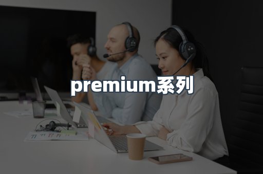 premium系列